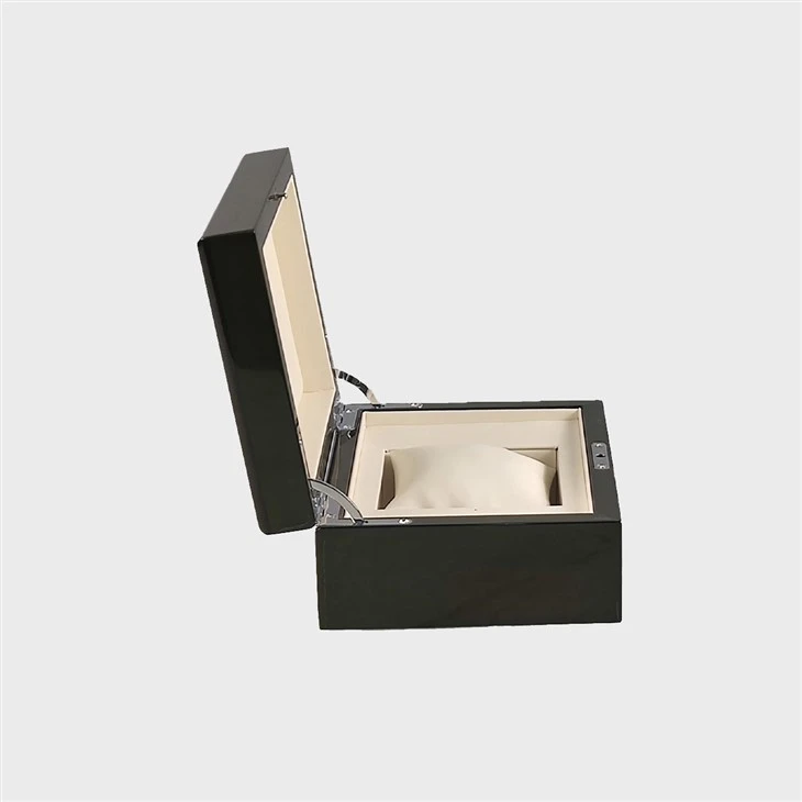 watch case